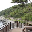 갈맷길2-1 이미지