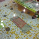 테마라면 이미지