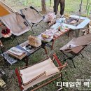 충주 캠핑장 추천 / 햇살아래캠핑장 동물 먹이주기 체험