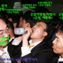 와우정비 Daum카페