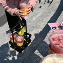 봄봄516점