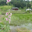 시동리경로당 이미지