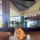 더나은정비 | [아기랑괌-4] 두짓비치리조트 (조식/중식/두짓골드) 딱히추천안해요 Guamdusitbeach