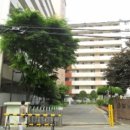 북아현로 이미지