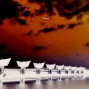 을숙도 생태공원 이미지