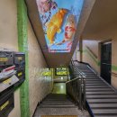 어썸 실내낚시카페 이미지