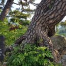 하조 마을회관 이미지