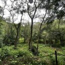 달숲스테이 이미지