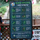 천마산 물놀이장 이미지