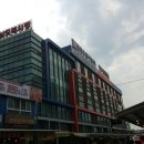 수삼랜드 이미지