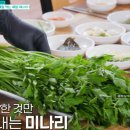 아카시아민박 이미지