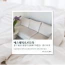 산운초등학교 | [분당] 운중동에스테틱 에스테틱오브도라 솔직후기