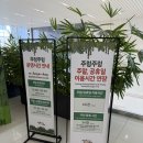 (주)아워홈 타임스퀘어영등포점 | [서울/영등포구] 영등포 타임스퀘어 주렁주렁 13개월 아기와 주말 방문 후기ㅣ주렁주렁 할인ㅣ주렁주렁...