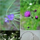 관광농원낚시터 이미지