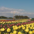 한국농어촌공사 앞 이미지