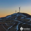 일출영농법인 이미지