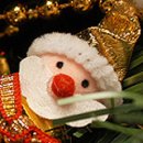 늑대랑여우랑 이미지