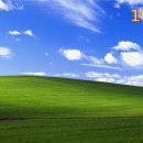 윈도우 XP 배경화면 Bliss(더없는 행복) 이야기 이미지