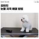 개님살롱 이미지