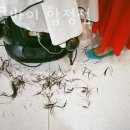 유니크 바이 합정점