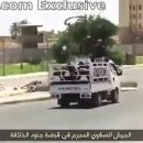 자동차나라 이미지