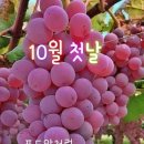 10월도 응원합니다. 건행하세요 .양주축제공연 이미지