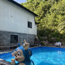 티라펜션 | 경기도 가평 개별 수영장 펜션, 티라펜션 내돈내산 후기