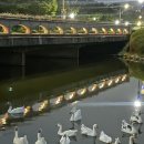 선선오리 이미지