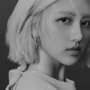 없음 - 65833 | 없음