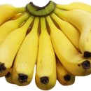 진도농장 이미지