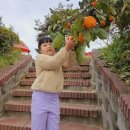 신나는예꼬어린이집 이미지