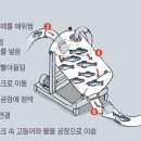 팜오션 이미지