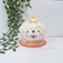 뚜드림 부산점 이미지