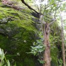 강청리 경로당 이미지