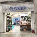 FLOPORT | [ 인천공항 꽃집 ] FLOPORT(플로포트) | 공항에서 꽃 사러 멀리 갈 필요 없다! (위치, 가격, 후기)