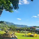 운휴재 | 운휴재 포항시북구죽장면펜션 넓은 마당과 프라이빗한 풀장을 보유하고 있어요