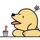 카페포쉬 이미지