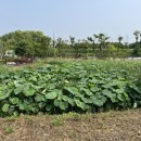 구리토평가족캠핑장 이미지