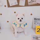 알콩달콩 애견미용실 이미지