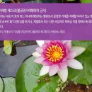 정위농장 이미지