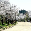 응봉산농장 이미지