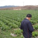 체신농장 이미지