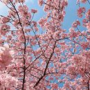 부곡3천 이미지