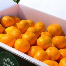 H·S·H Farm 이미지