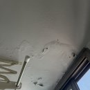 씨유청주비하효성점 | 청주 비하효성아파트 베란다 페인트, 곰팡이 고민을 확실하게 해결한 시공 후기