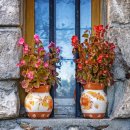 희망행정사 이미지