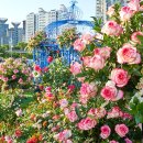 뚝섬한강공원-24 이미지