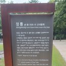 사우로 이미지
