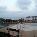 새만금종합수산시장 이미지