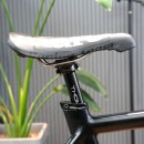 퍼피스타 이미지